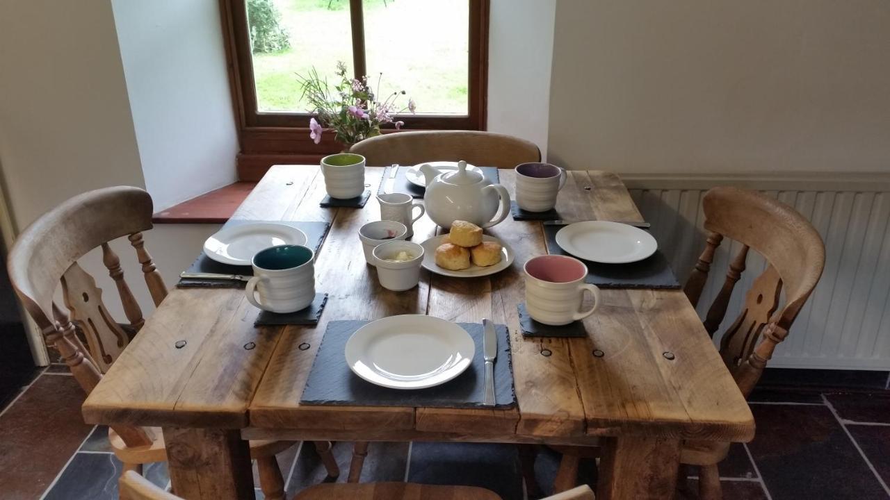 Coopers Cottage Dog Friendly North Cornwall Delabole Exteriör bild